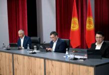 Дома медикам, спорткомплекс. О чем просили президента жители Кочкорского района