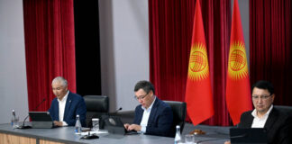 Дома медикам, спорткомплекс. О чем просили президента жители Кочкорского района