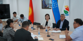 Кулубаев: более $100 млн направлено на совместные проекты Кыргызстана и Узбекистана