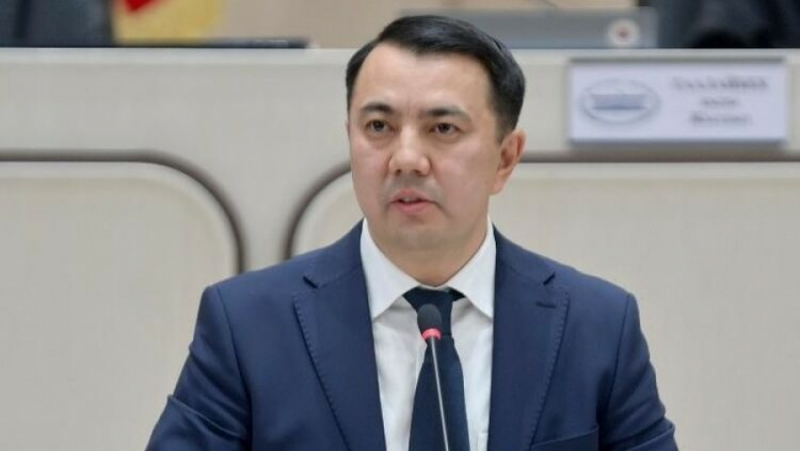 «Были крокодилы, страус, слон, чтобы было понятно», - Марлен Маматалиев