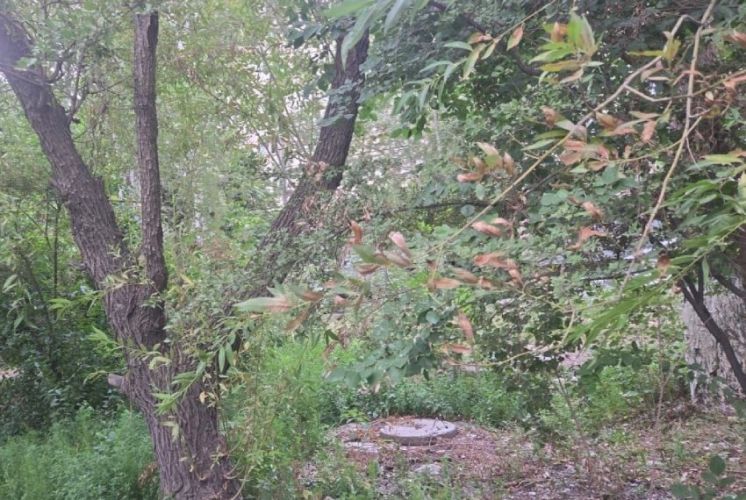 Лишиться бизнеса за 10 дней: мэрия сносит павильоны в Бишкеке ради сквера