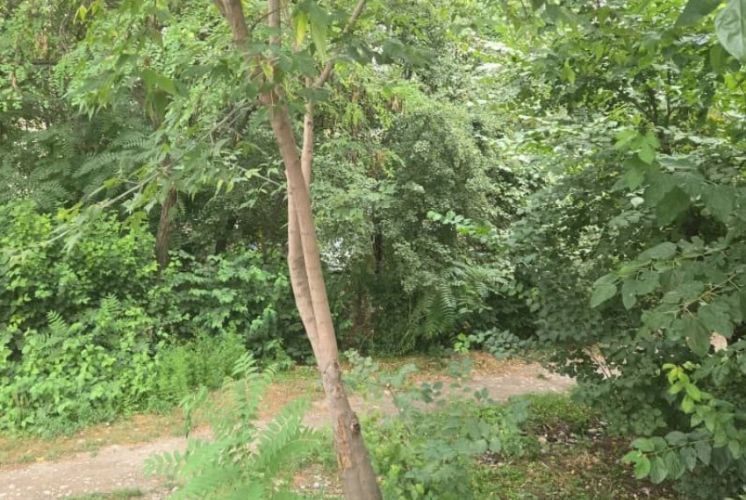 Лишиться бизнеса за 10 дней: мэрия сносит павильоны в Бишкеке ради сквера